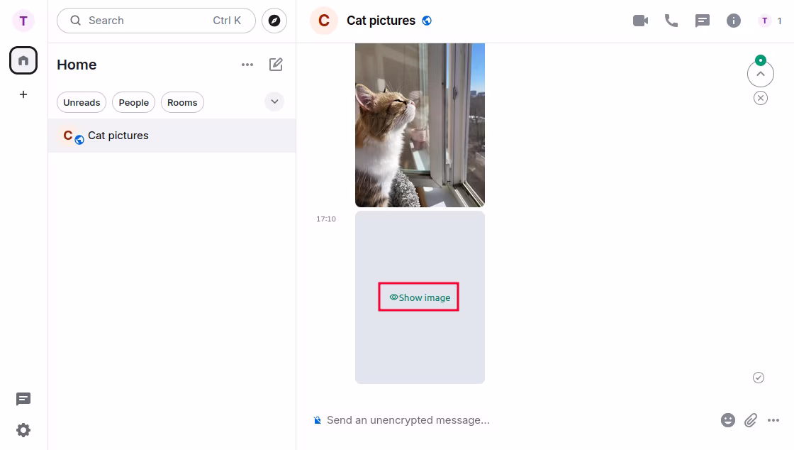 Element Web's timeline with a hidden image. The Show image button
    is highlighted.